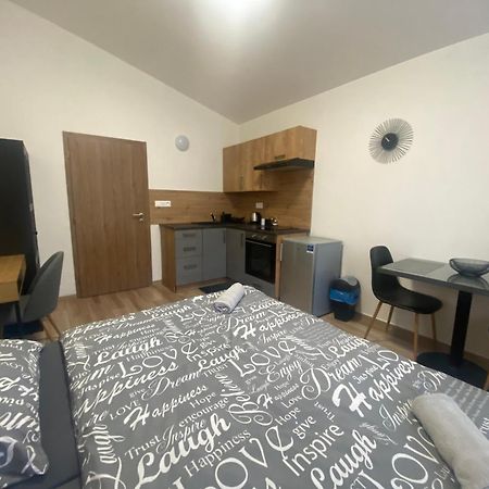 Cerna Ruze - Apartman 7 プルゼニ エクステリア 写真
