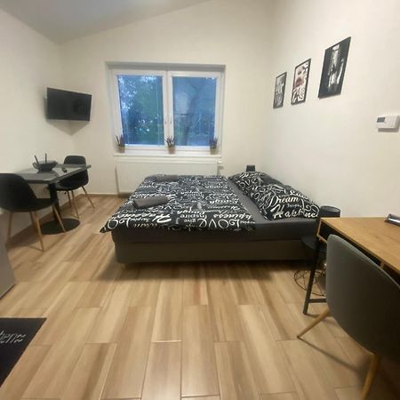 Cerna Ruze - Apartman 7 プルゼニ エクステリア 写真