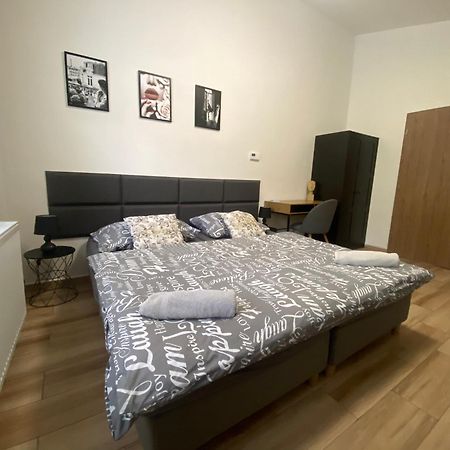 Cerna Ruze - Apartman 7 プルゼニ エクステリア 写真
