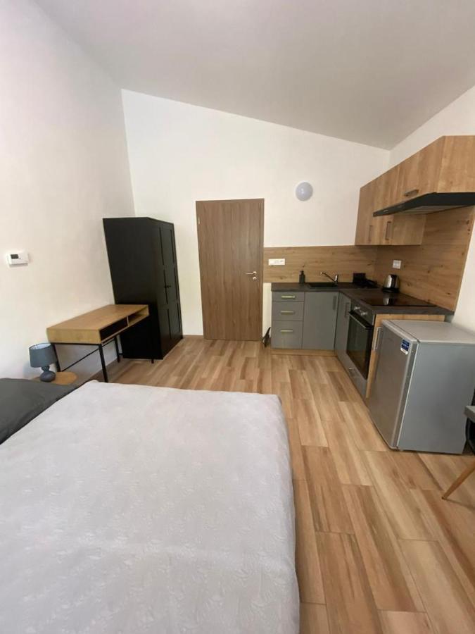 Cerna Ruze - Apartman 7 プルゼニ エクステリア 写真