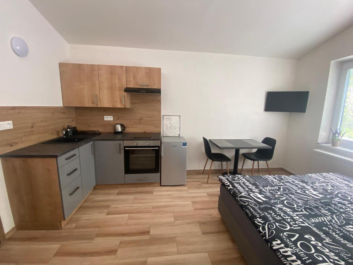 Cerna Ruze - Apartman 7 プルゼニ エクステリア 写真