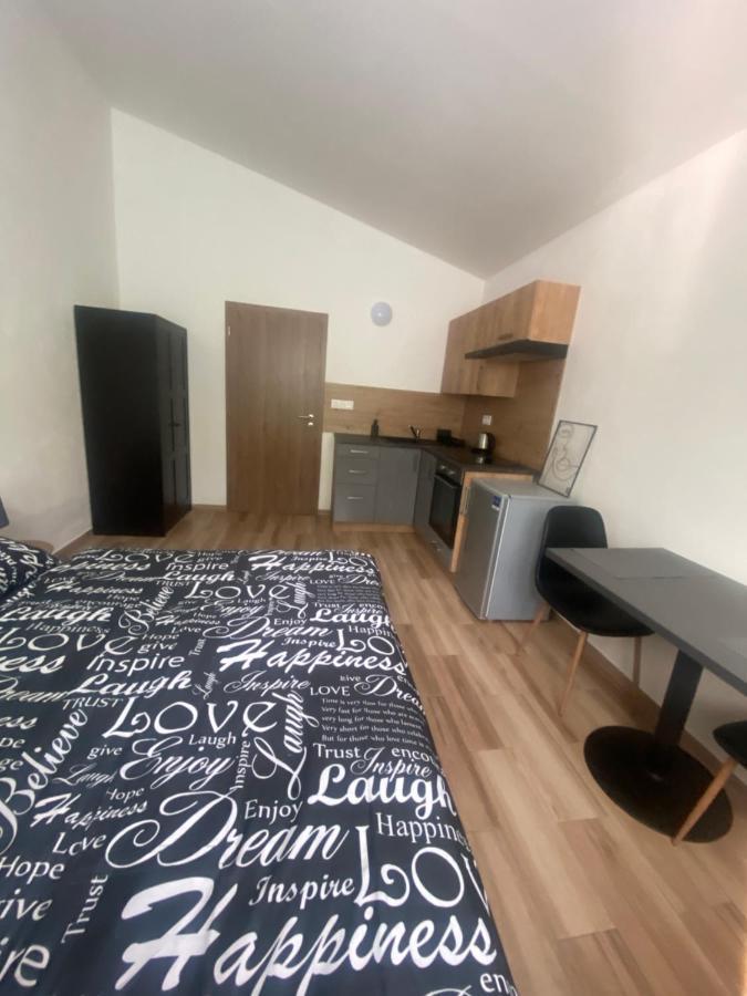 Cerna Ruze - Apartman 7 プルゼニ エクステリア 写真