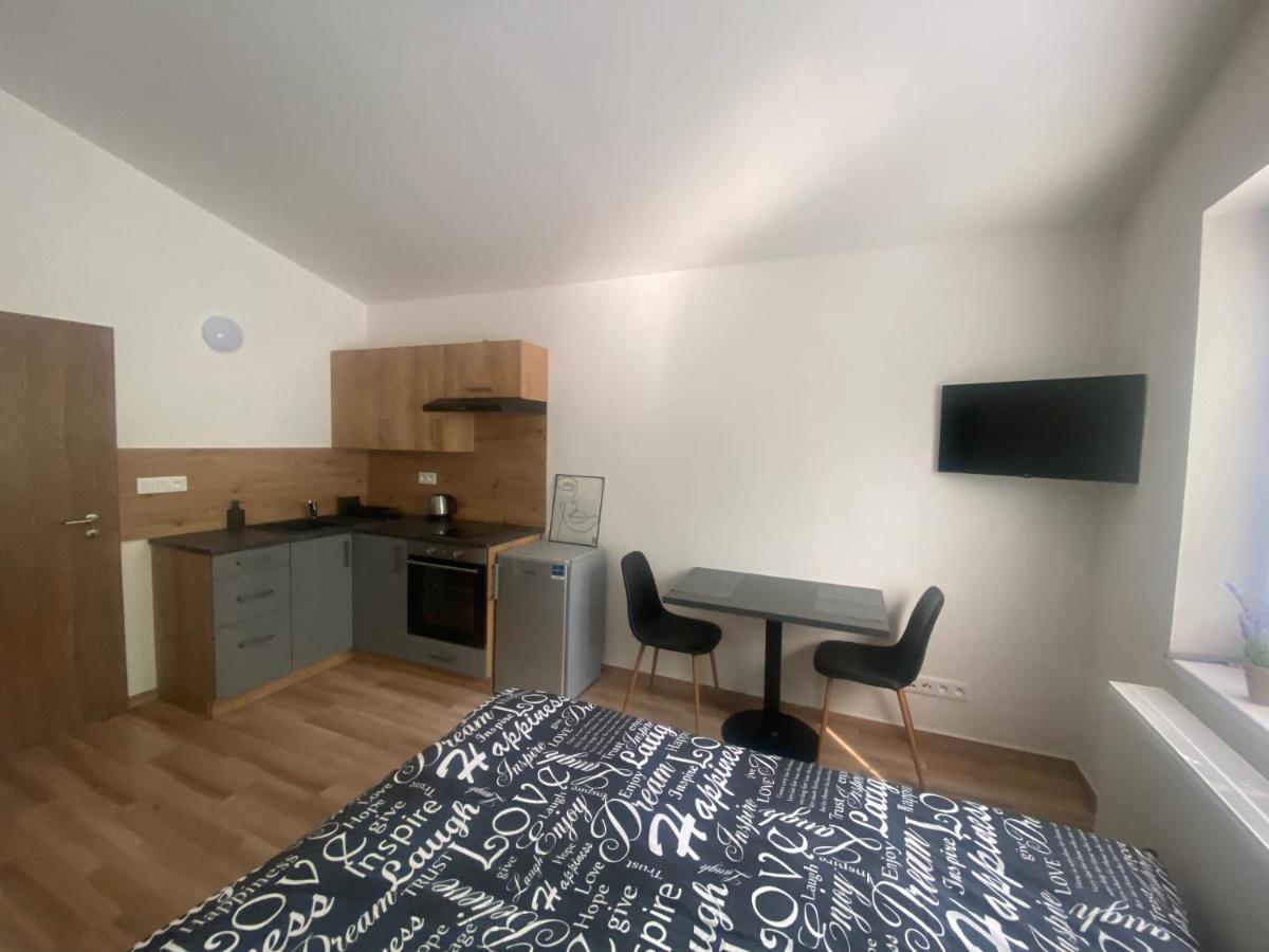 Cerna Ruze - Apartman 7 プルゼニ エクステリア 写真