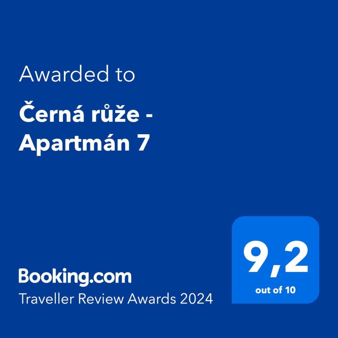 Cerna Ruze - Apartman 7 プルゼニ エクステリア 写真