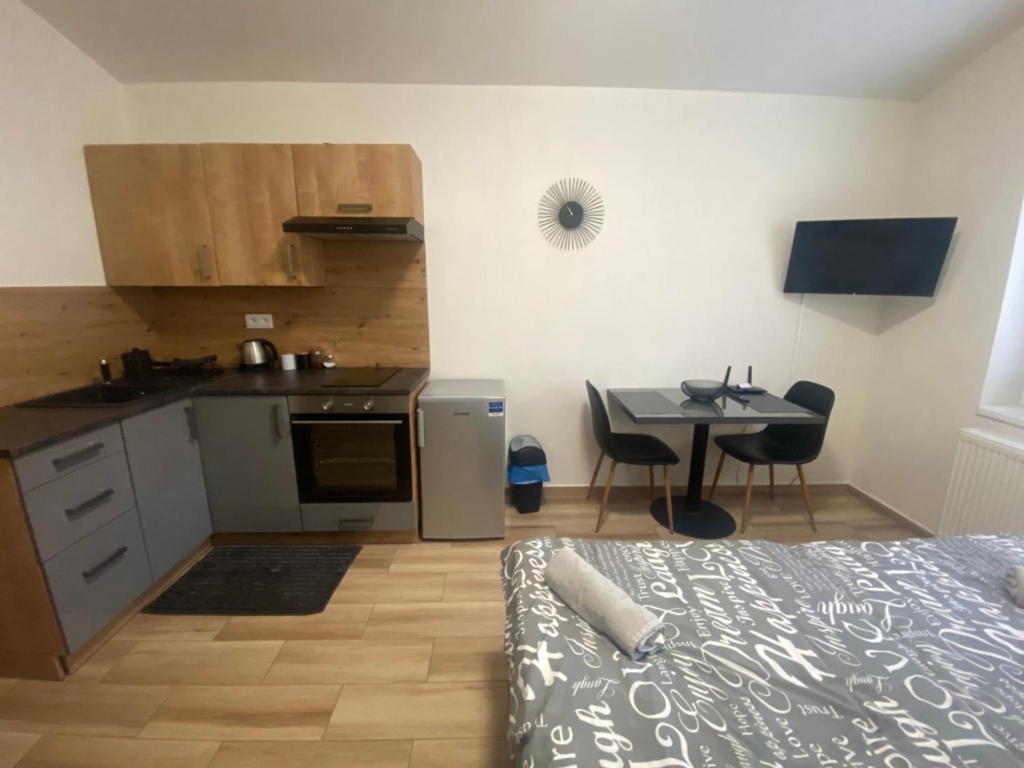 Cerna Ruze - Apartman 7 プルゼニ エクステリア 写真